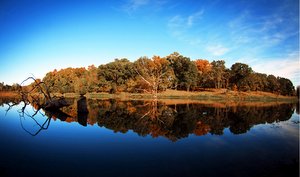 Clanton Creek