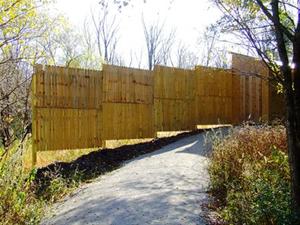Path to the Bird Blind