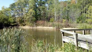Fellowship Forrest Fishing.